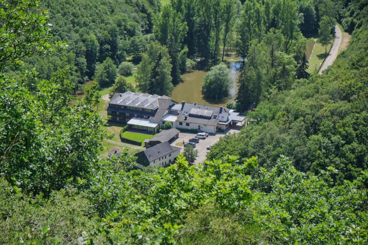 Land-Gut-Hotel Forellenhof Bundenbach Buitenkant foto