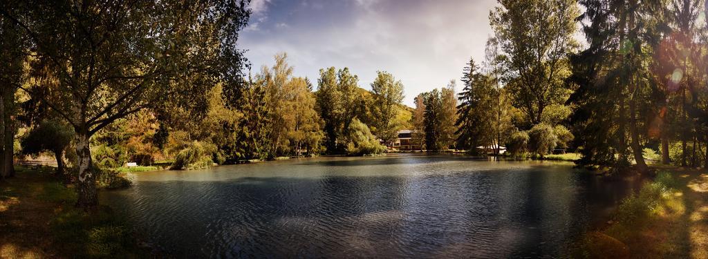 Land-Gut-Hotel Forellenhof Bundenbach Buitenkant foto